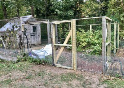 Predator-proof Enclosure for Ducks