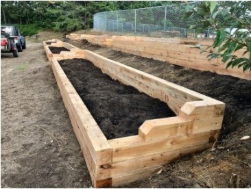 Garden Beds at the Cape Cod Lighthouse Charter School